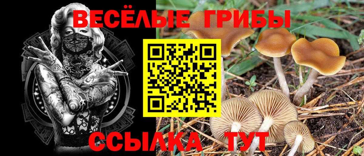 Обнинск  Галлюциногенные грибы мухоморы  Вход с VPN 